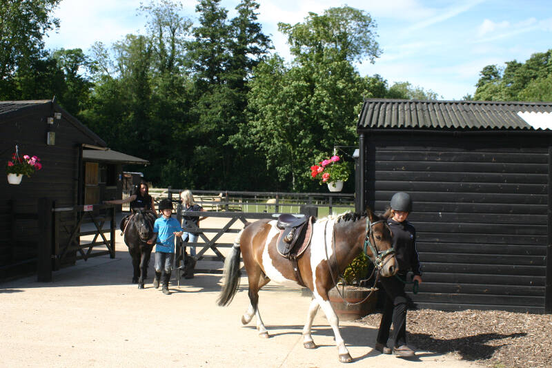 Jongens en meisjes halen pony's uit de manege tijdens ponykamp België