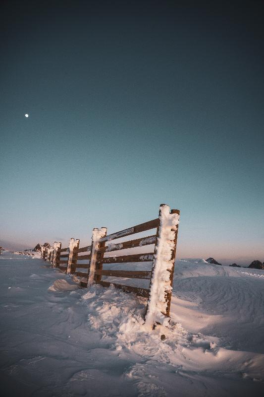 Een besneeuwd heb met blauwe lucht op jongeren skivakantie