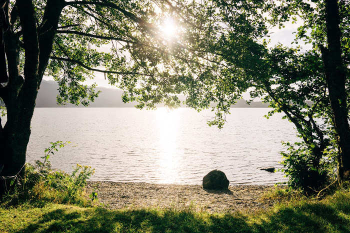 De groene natuur tijdens de jongerenreis in Zweden.