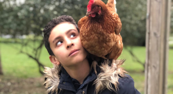 poule sur l'épaule d'un enfant en colonie de vacances à la ferme