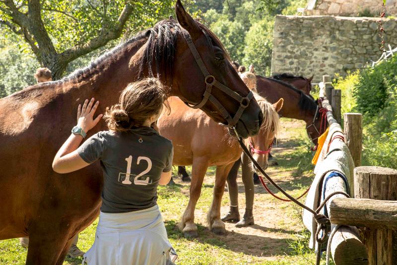 Een deelnemer van een taalcursus Frans kinderen staat bij een paard voor een activiteit