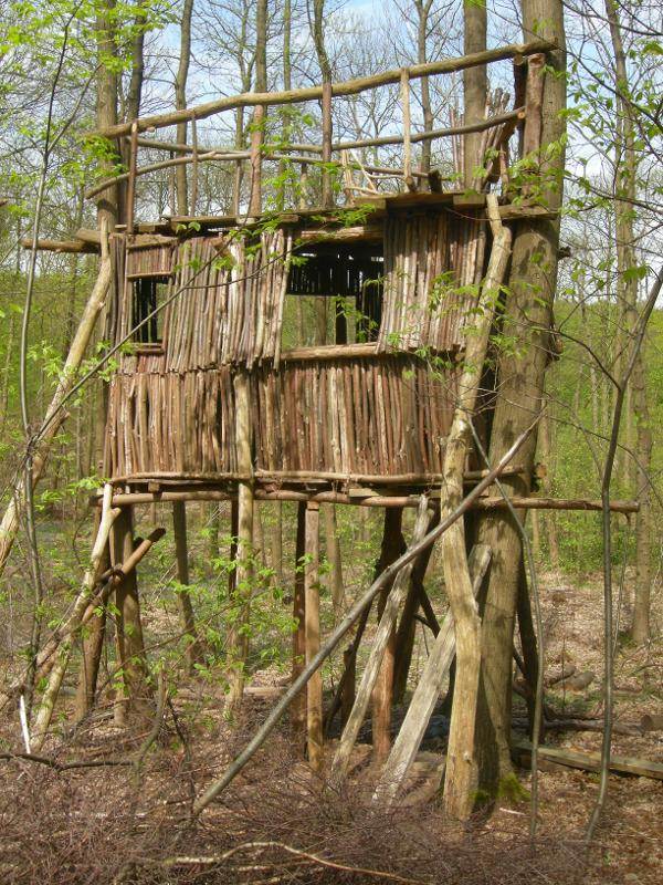 cabane en bois dans la forêt colonie aventure