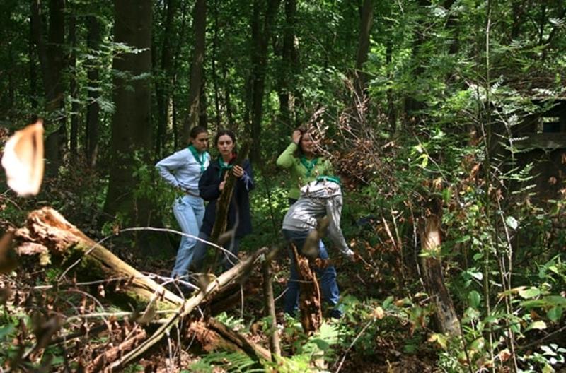 Kinderen spelen in het bos tijdens outdoorkampen Ardennen