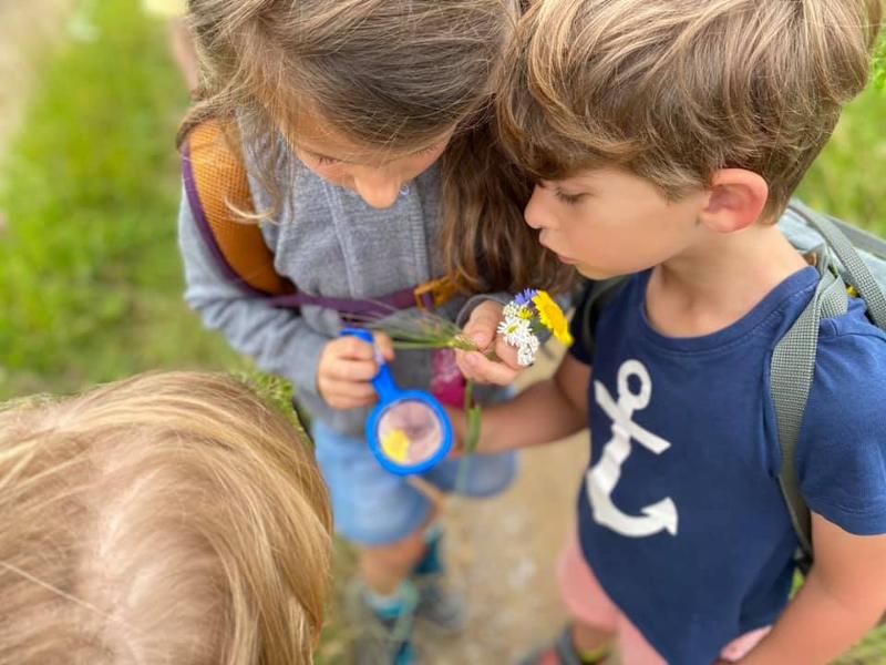 kinderen kijken naar bloem op boerderij kamp