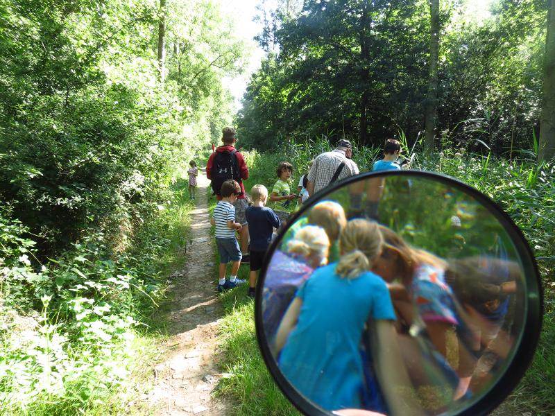 kinderen zoeken plantjes op boerderij kamp