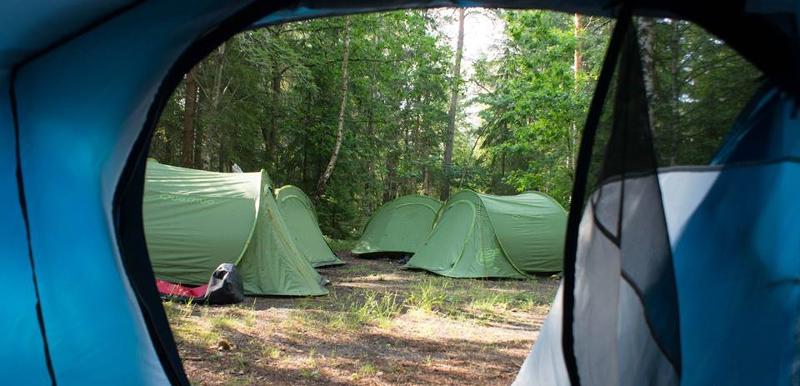 foto genomen vanuit een tent met uitzicht op de andere tenten in het bos tijdens een natuur kamp in zweden