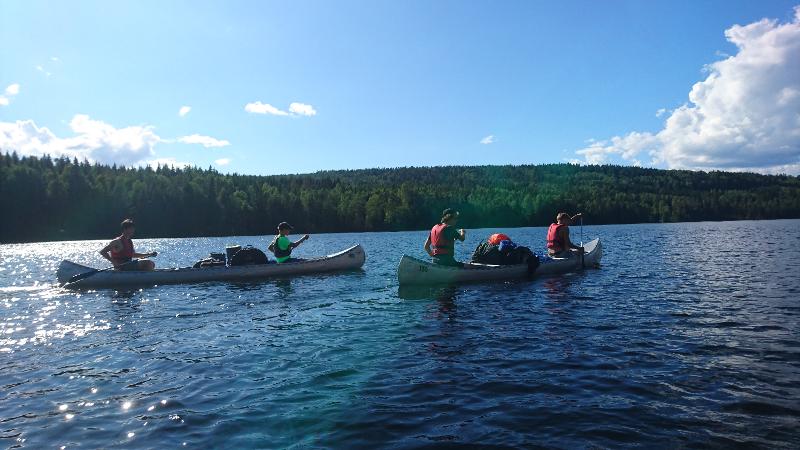 vier deelnemers kayaken in de zon op het meer tijdens een natuurkamp in zweden