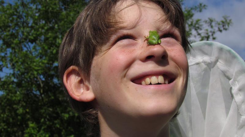 jongen met kikker op neus tijdens dierenkamp