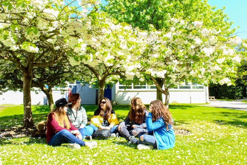 Zitten in het gras tijdens taalreis engels 