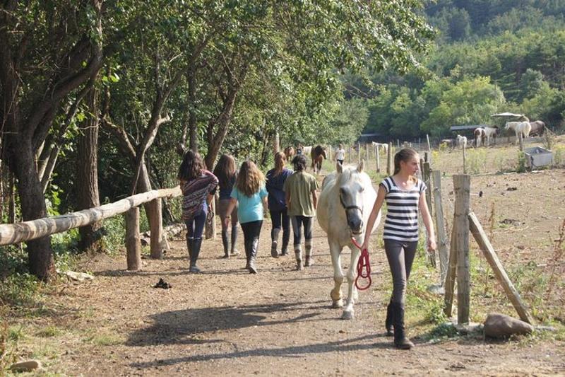 jeune fille qui tient son cheval en séjour linguistique espagnol
