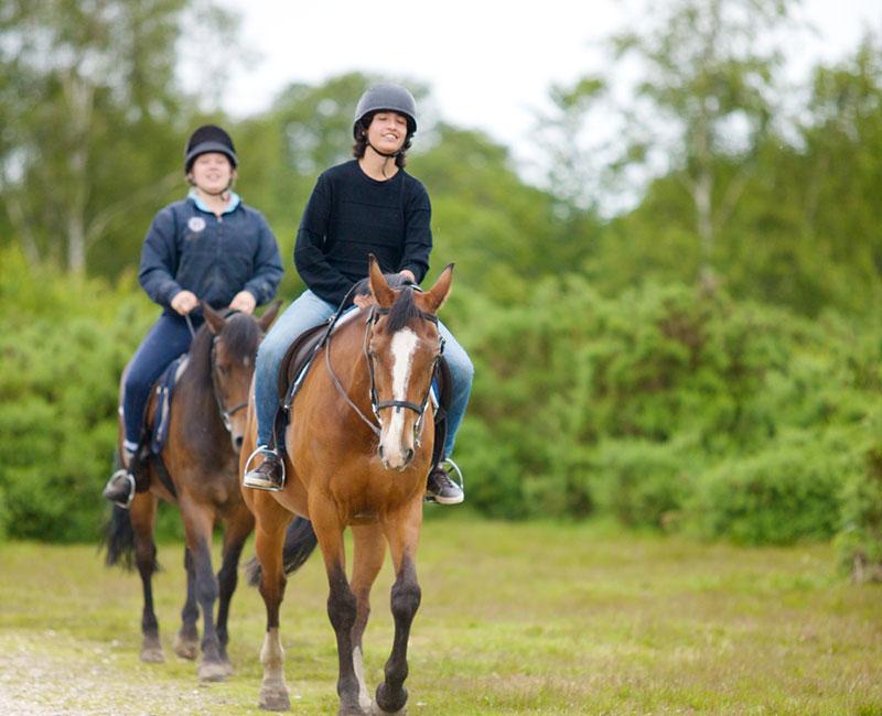 paardrijden in een weiland tijdens taalreis engels