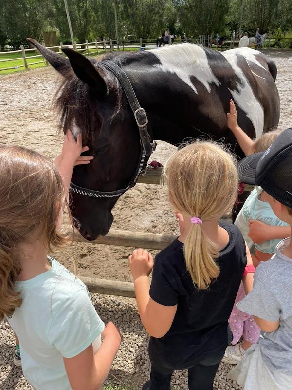 Meiden op paardrijden kamp
