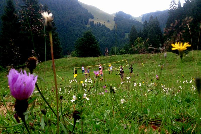 Volleybal in de natuur tijdens taalreis Duitsland