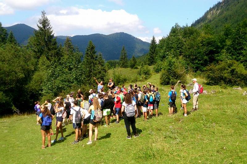 Wandeling in weiland tijdens taalreis Duitsland
