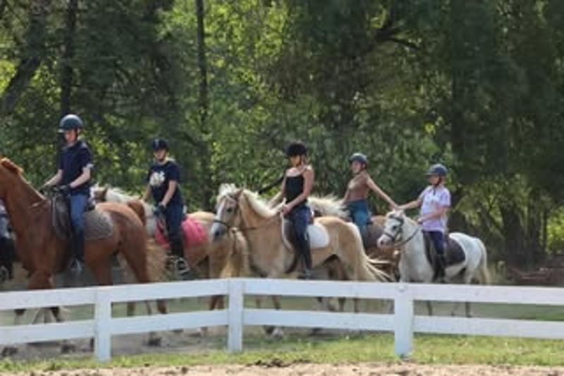Ponykamp Antwerpen Zomervakantie - Foto 1