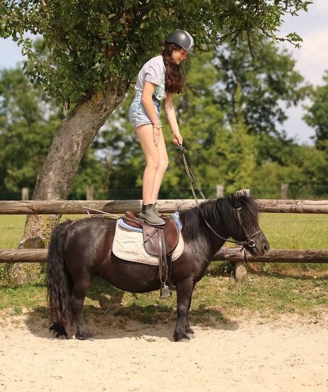 enfant debout sur un poney en colonie de vacances équitation pas cher