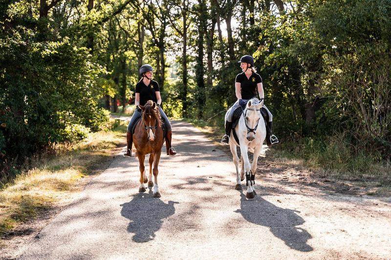Samen rijden op paardrijden kamp