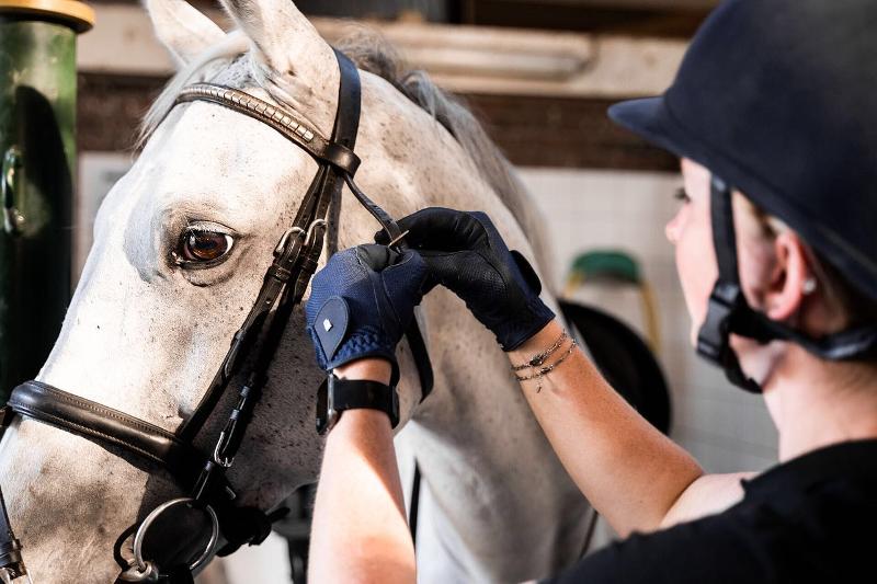 Paard rijklaar maken op paardrijdenkamp zomer