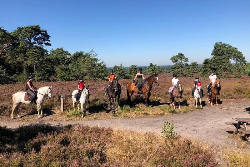 Rijden bij de holterberg op paardrijdenkamp zomer