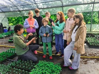 Groenwijs Dagkamp Stekene Zomervakantie - Stekene