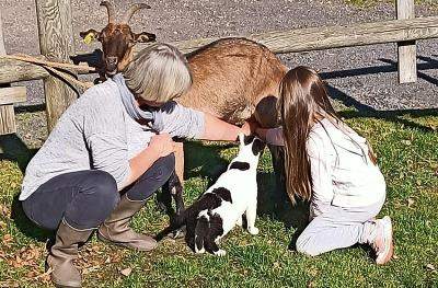 Colonie Cocooning et Canirando à La Bourboule Automne - Puy-de-Dôme