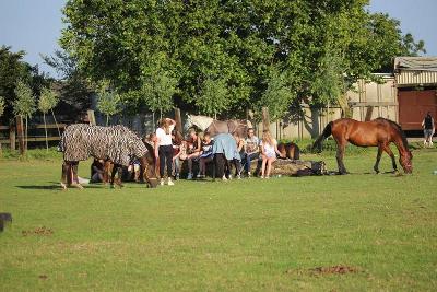 Paardenkamp Antwerpen Herfstvakantie - Antwerpen
