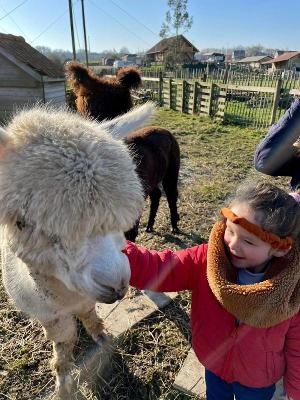 Dierenkliniek Zomerkamp Ronse 7-12 jaar - Ronse