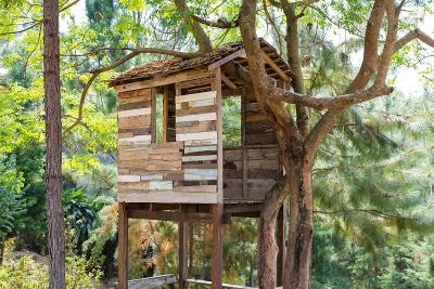 Boomhutkamp Ronse 7-12 jaar - Ronse