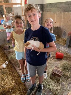 Mini Farmer Zomerkamp Ronse 3-6 jaar - Ronse
