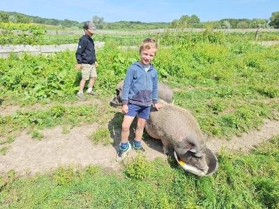 Mini Viervoeters Zomerkamp Ronse 3-6 jaar - Ronse
