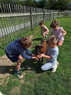Boertjes en Boerinnetjes Zomerkamp Ronse 3-6 jaar - Ronse