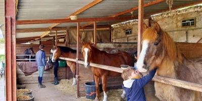 Colonie de Vacances Equitation Intensive Indre Toussaint - Indre