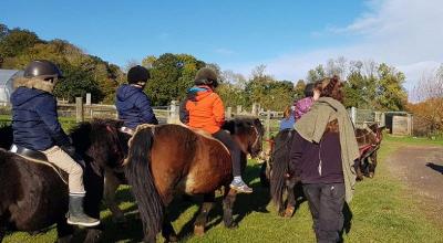 Colonie Petit Fermier en Normandie Printemps - Orne