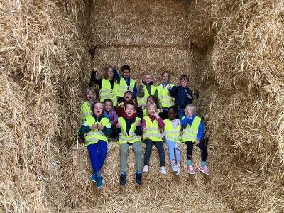 Boerderij Dagkamp Oudenaarde Zomervakantie - Vlaamse Ardennen