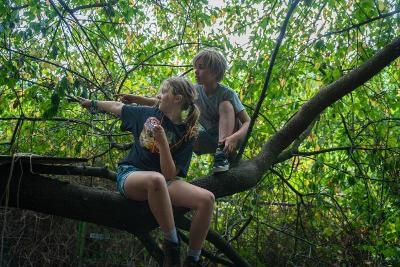 Expeditie Fort 4 Dagkamp Mortsel Zomervakantie - Vlaanderen
