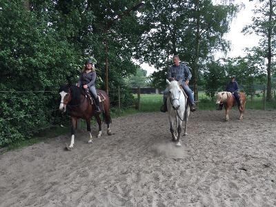 Volwassen Paardenkamp 2-daagse Westmalle