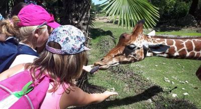 Colo Zoo et Animaux en Vendée - Vendée (85)