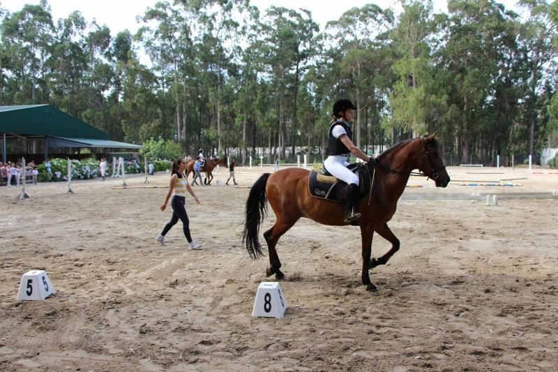 Colonies de vacances équitation pas cher 2026