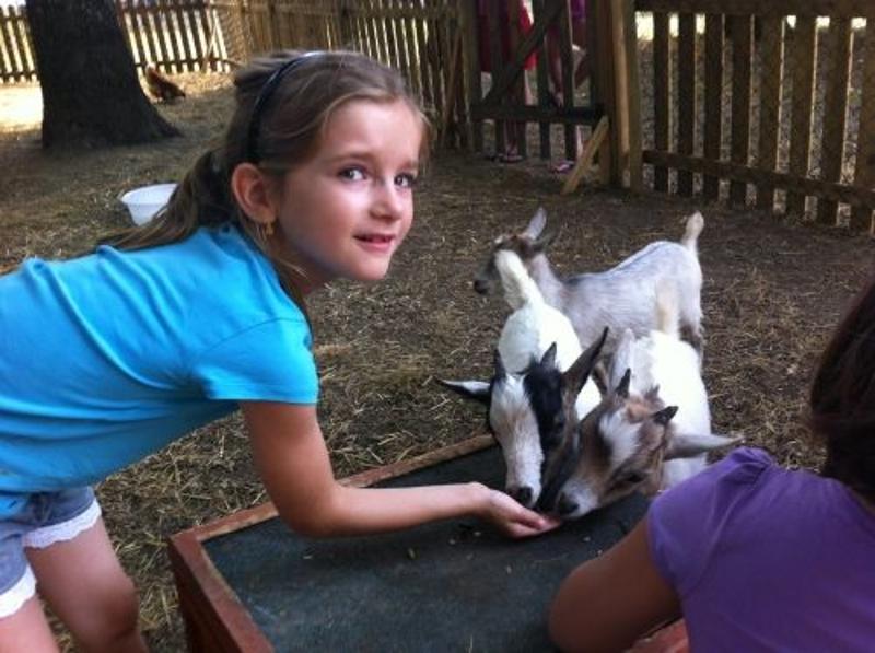 Colonies de vacances à la ferme 2026