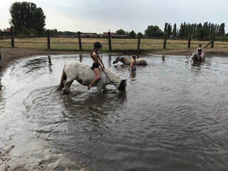 Ponykampen Antwerpen 2026