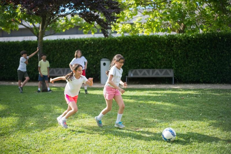 Sportkampen Leuven 2026
