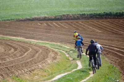 Sportkampen Waregem 2026