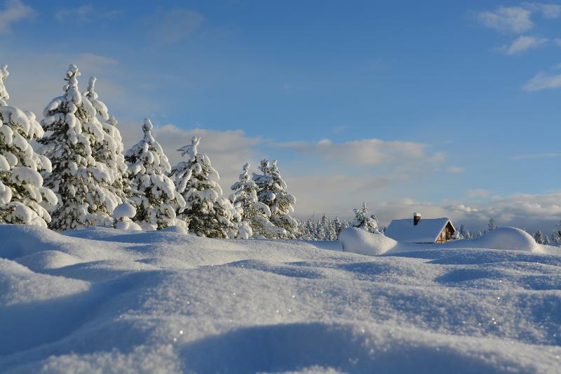 Kerstvakantie België 2026